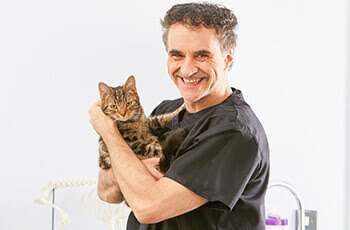 Supervet on choosing pet insurance