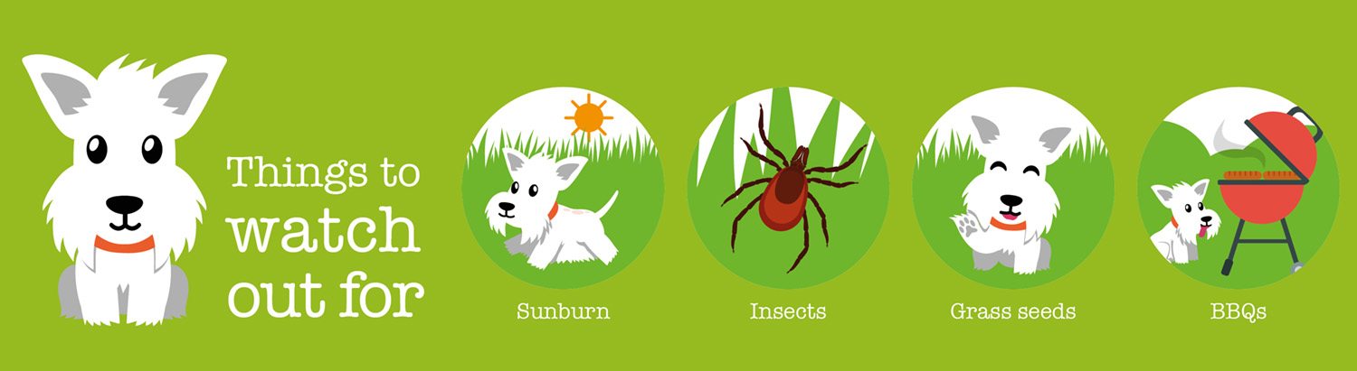 Things to watch out for img